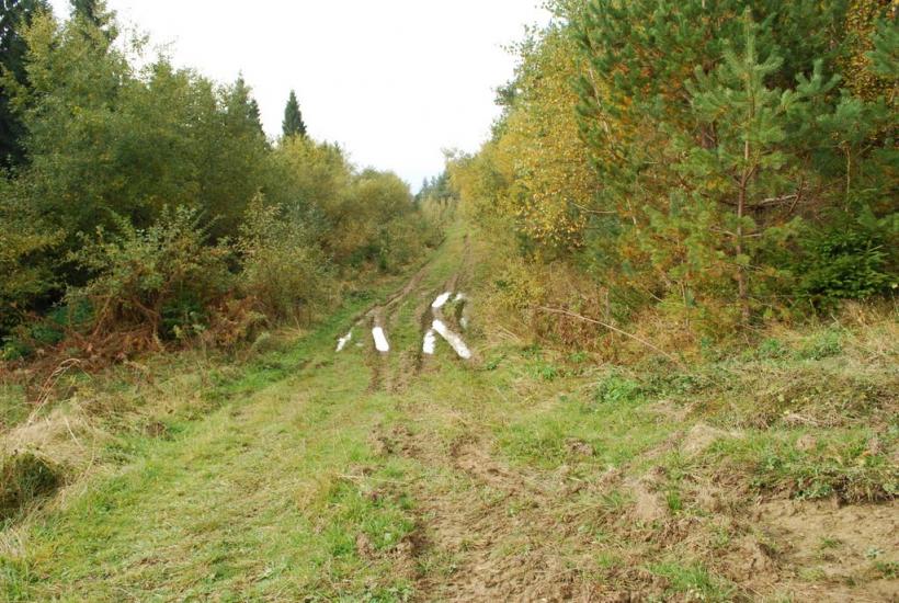 Розлуч з panoramio.com - Розлуч