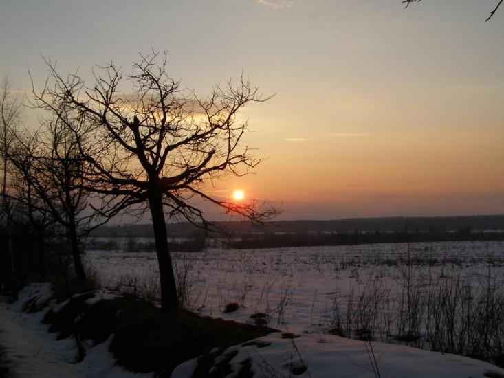 Слобода-Небилівська з panoramio.com - Слобода-Небилівська