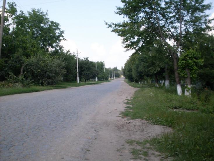 Ситківці з panoramio.com - Ситківці