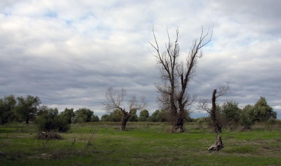 Яськи з panoramio.com - Jasky