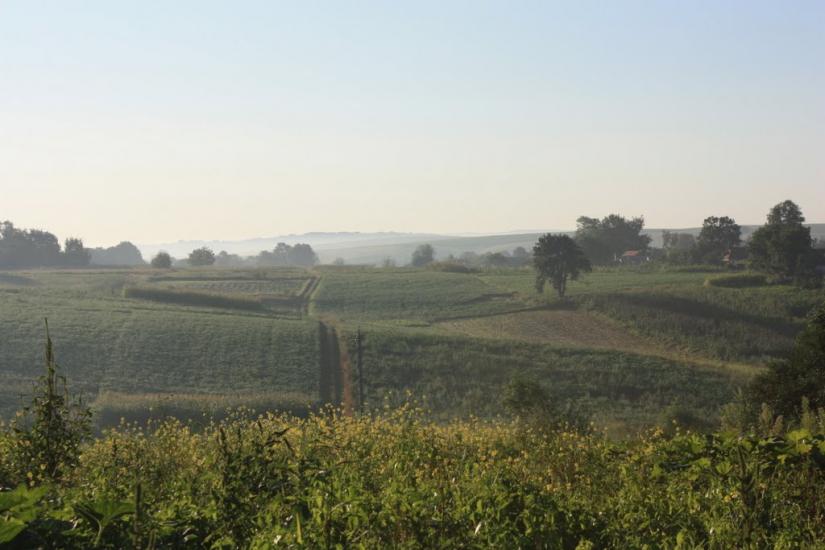 Базалія з panoramio.com - Базалия