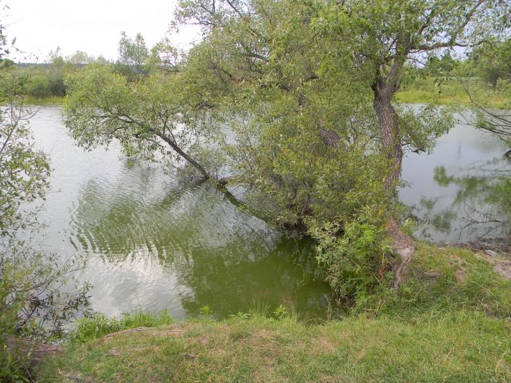 Хрипівка з panoramio.com - Хрипівка