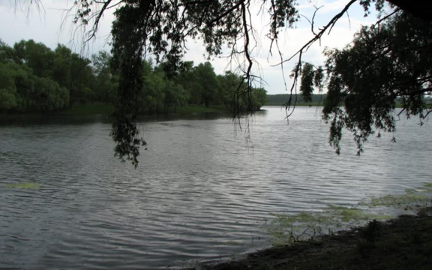 Брусилів з panoramio.com - Брусилів