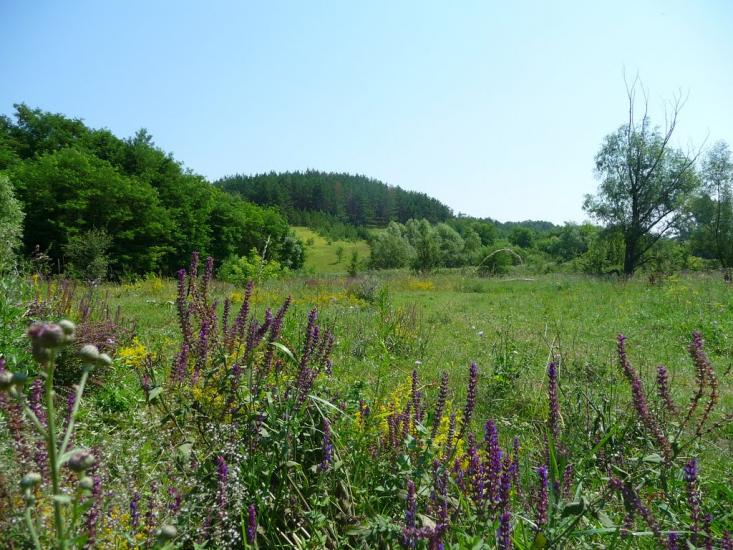 Балико-Щучинка з panoramio.com - Балыко-Щучинка