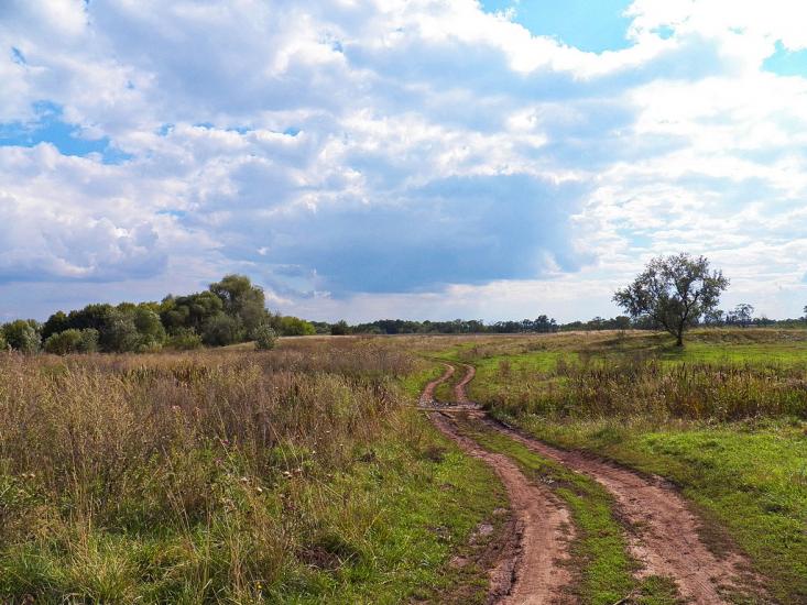 Лозове з panoramio.com - Лозовое