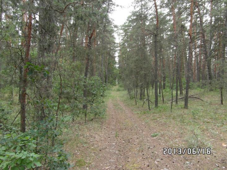 Скрипаї з panoramio.com - Скрипаи