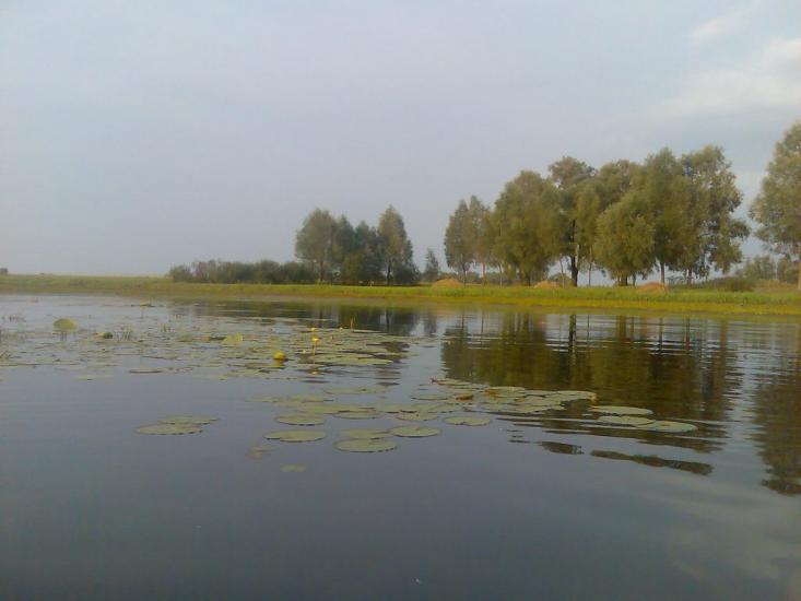 Жукин з panoramio.com - Zhukyn