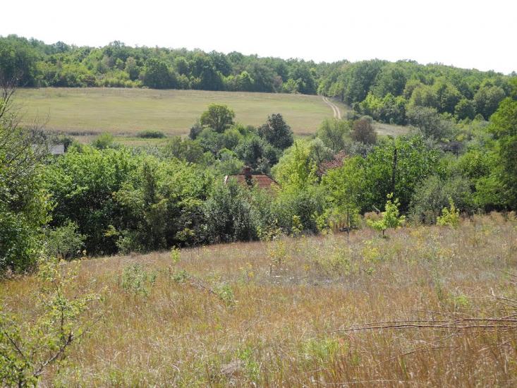 Маслії з panoramio.com - Маслии