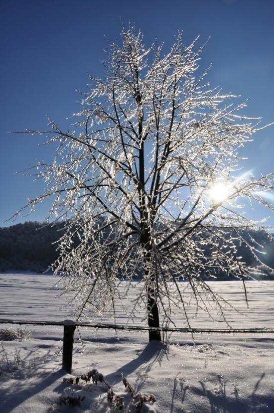 Крехів з panoramio.com - Крехів
