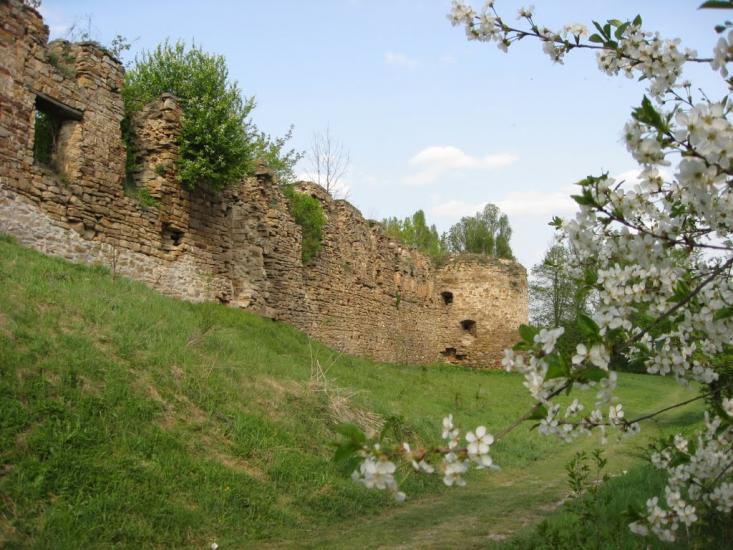 Микулинці з panoramio.com - Микулинці