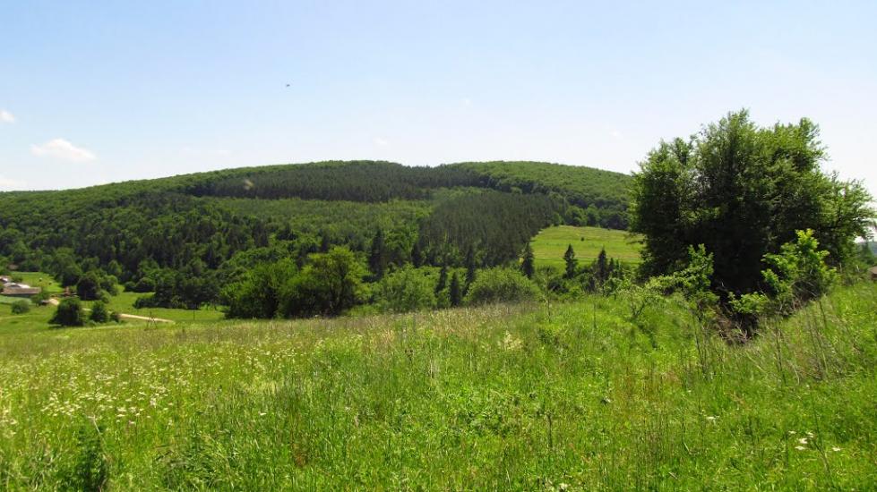 Маркова з panoramio.com - Маркова