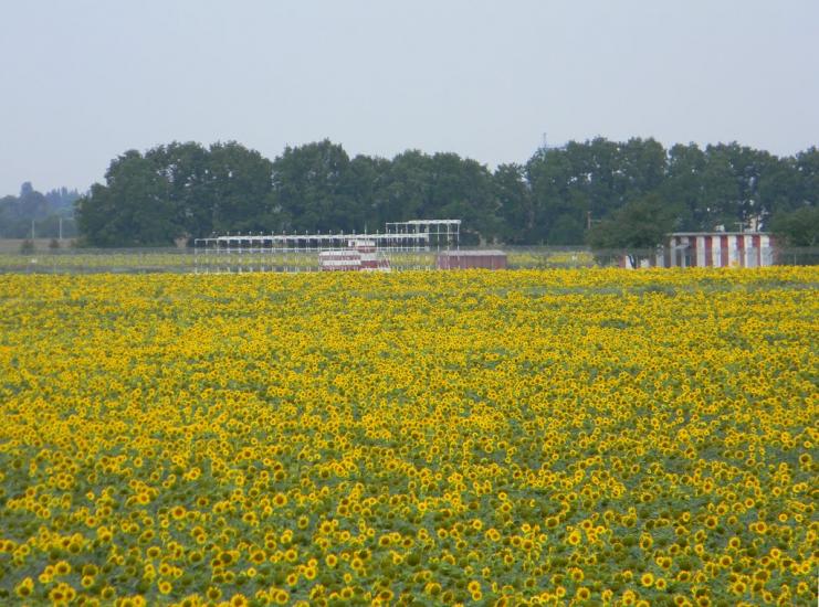 Гора з panoramio.com - Гора
