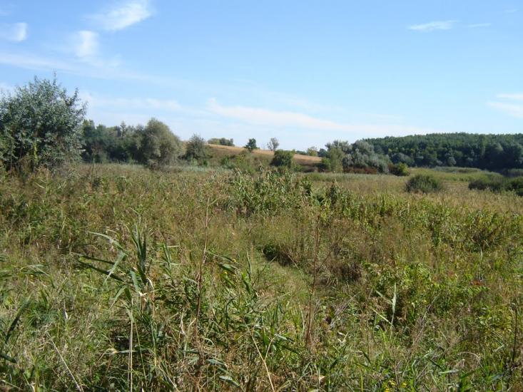 Кагарлик з panoramio.com - Кагарлык