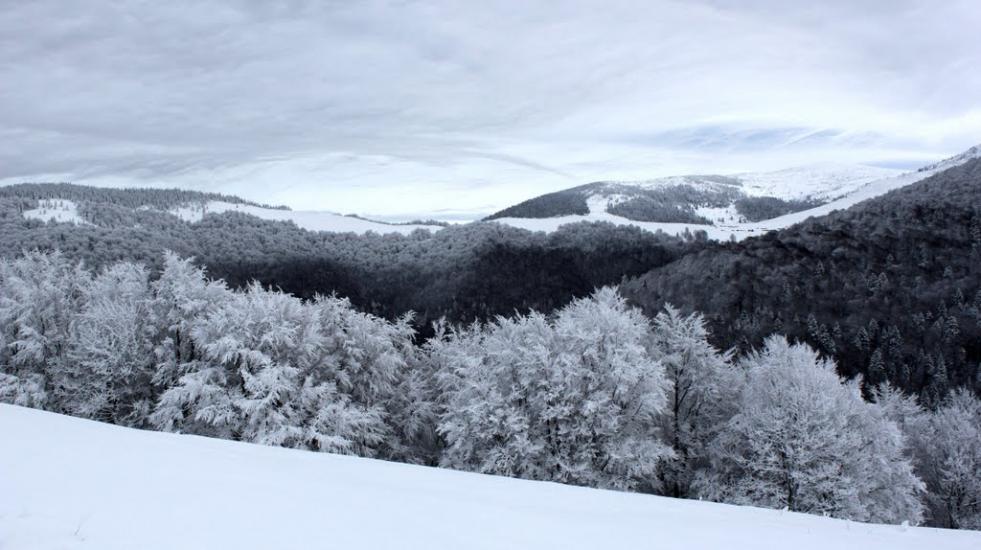 Кваси з panoramio.com - Квасы