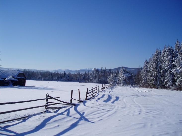 Міжгір'я з panoramio.com - Міжгір'я