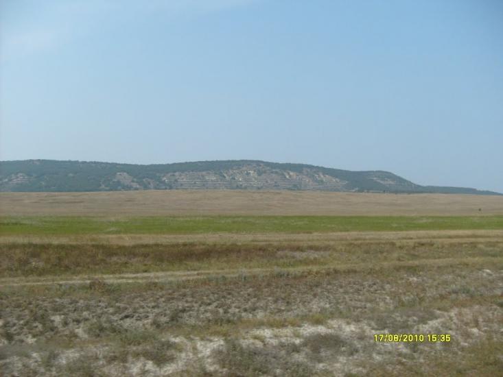 Сирень з panoramio.com - Сирень