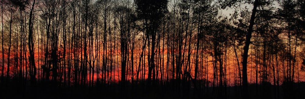 Перешпа з panoramio.com - Перешпа