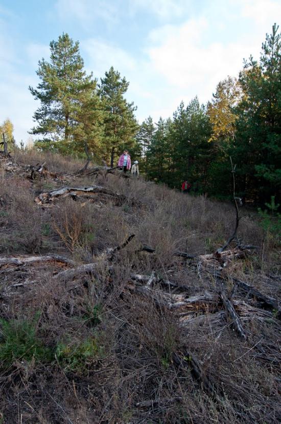 Шульгівка з panoramio.com - Шульговка
