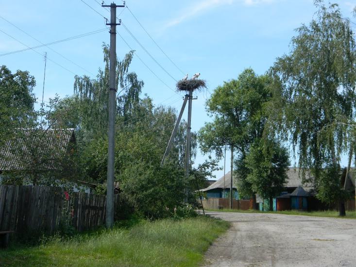 Хрипівка з panoramio.com - Хрипівка