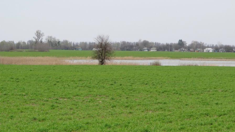 Шабалинів з panoramio.com - Shabalyniv