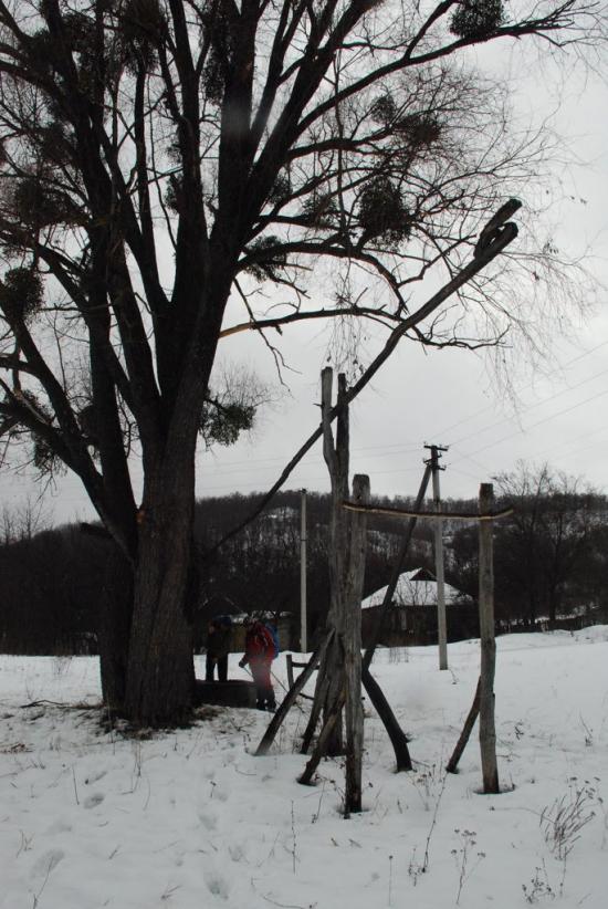 Великі Будища з panoramio.com - Великие Будища