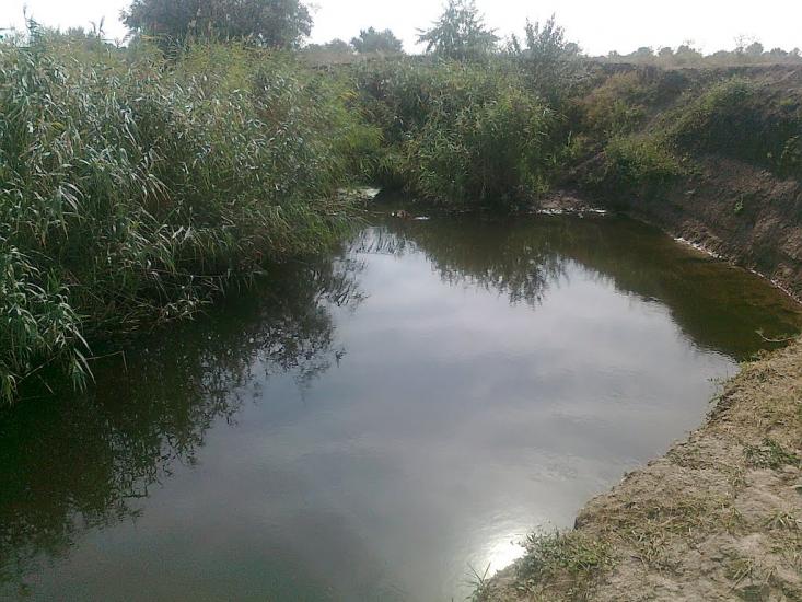 Кутузівка з panoramio.com - Кутузівка