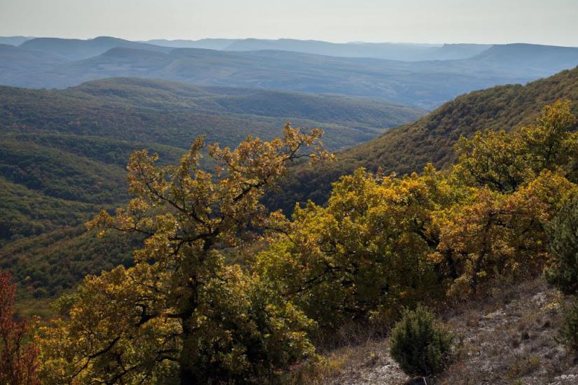 Прохладне з panoramio.com - Прохладное