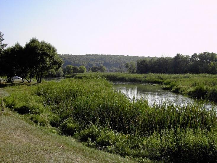 Огірцеве з panoramio.com - Огірцеве