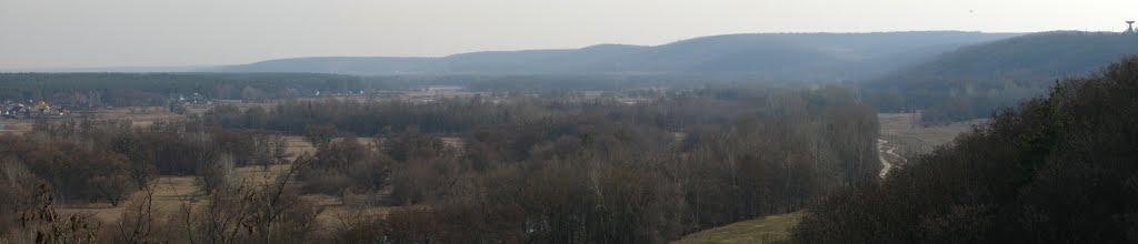 Задонецьке з panoramio.com - Zadonetske