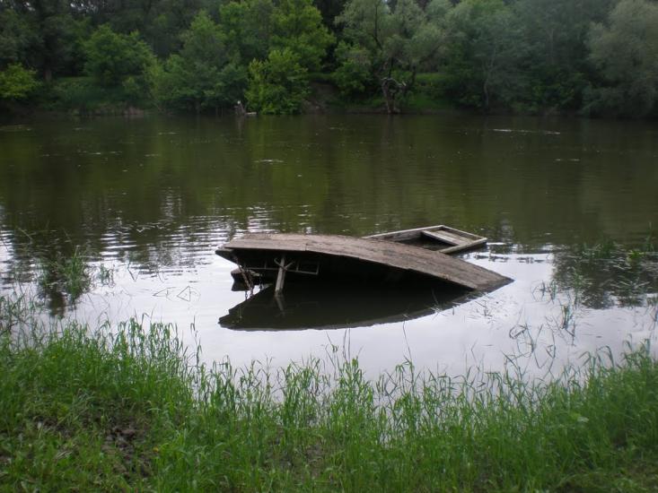 Нижнє з panoramio.com - Nyzhnye