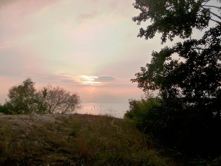Ровжі з panoramio.com - Ровжи