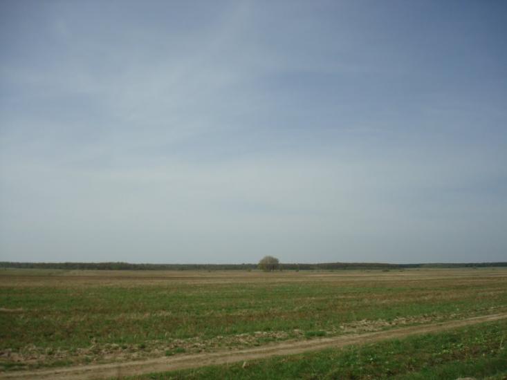 Голоби з panoramio.com - Голобы