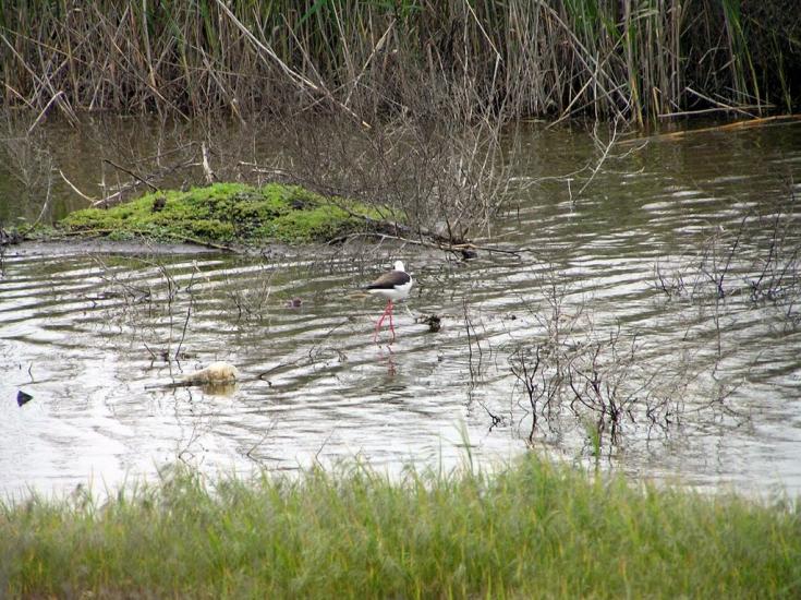 Молодіжне з panoramio.com - Молодіжне