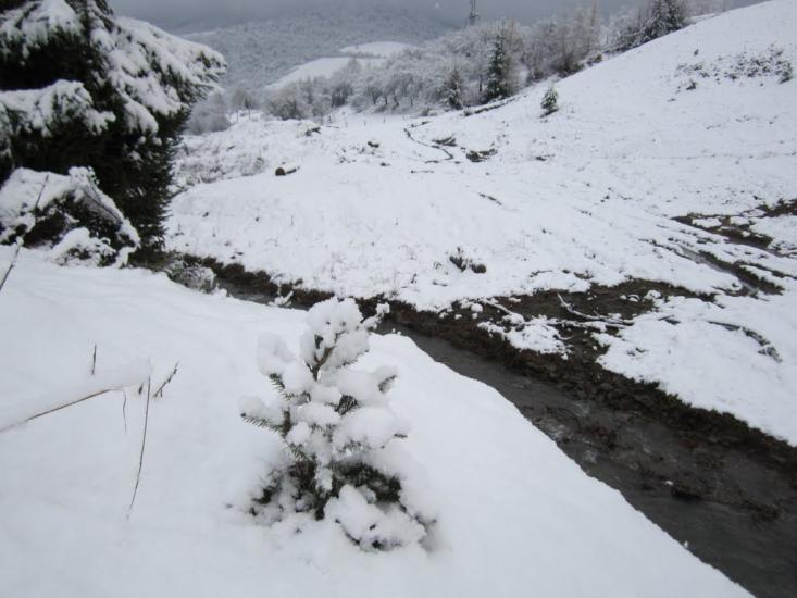 Ставне з panoramio.com - Ставное