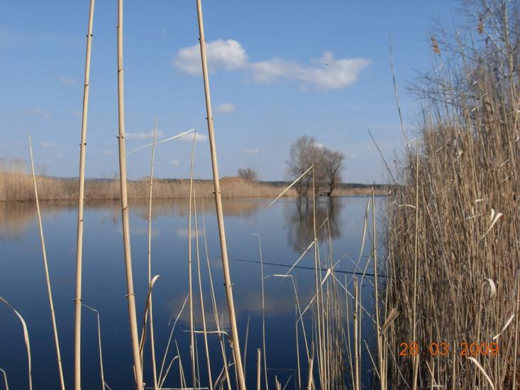 Гупалівка з panoramio.com - Гупаловка