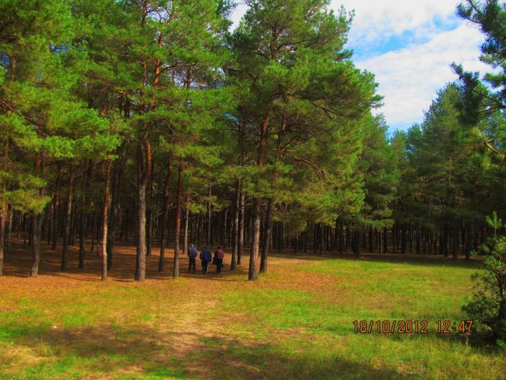 Баловне з panoramio.com - Баловное