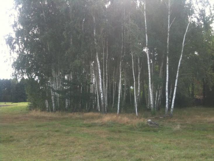 Деревок з panoramio.com - Деревок