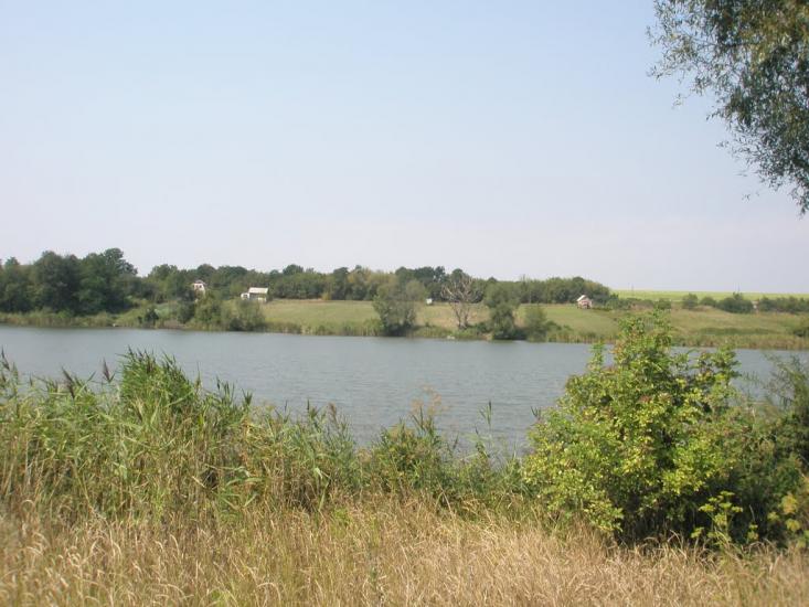 Писарівка з panoramio.com - Писаревка