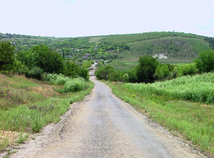 Дубове з panoramio.com - Дубове