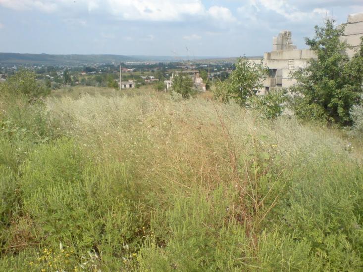 Червонознам'янка з panoramio.com - Червонознаменка
