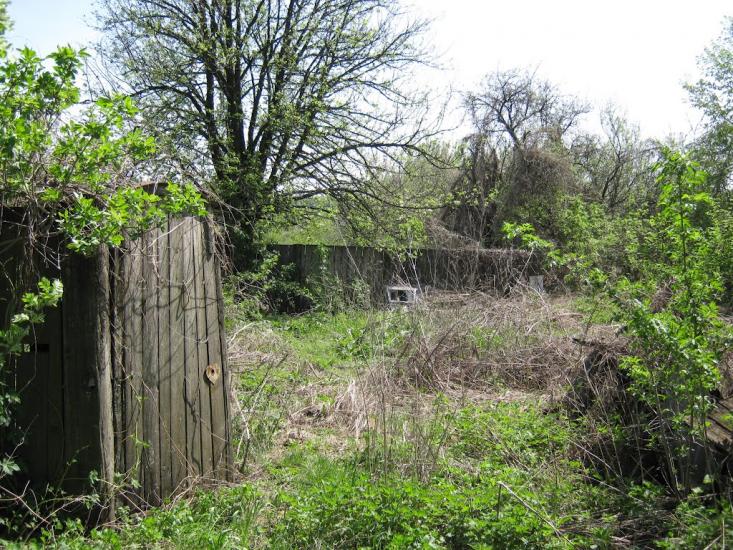 Коновалове з panoramio.com - Коновалово