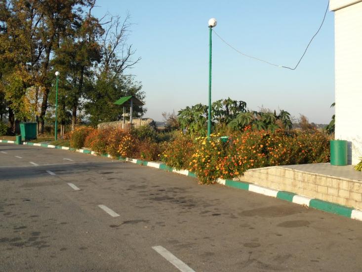 Гребінки з panoramio.com - Гребенки