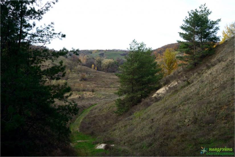 Великі Будища з panoramio.com - Великие Будища