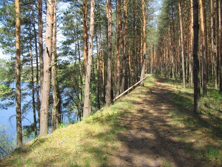 Горбове з panoramio.com - Горбове