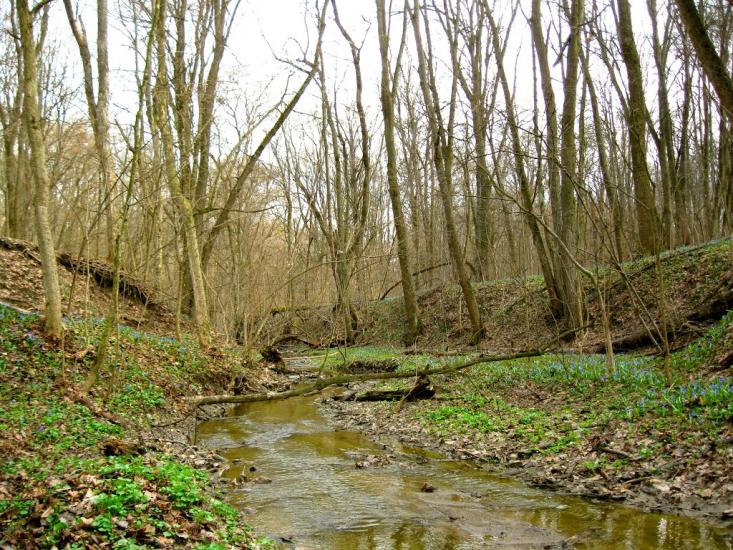 Тарасівка з panoramio.com - Тарасівка