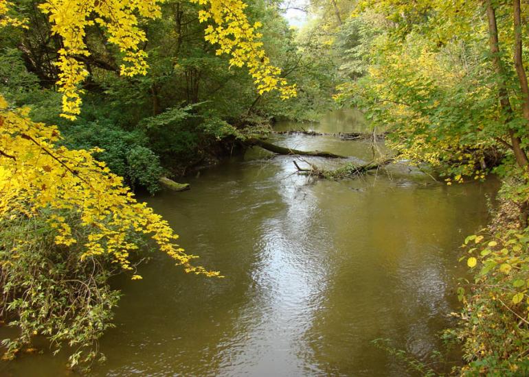 Кринцілів з panoramio.com - Кринцілів