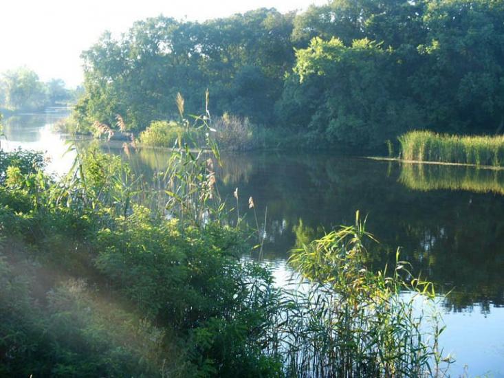 Гупалівка з panoramio.com - Гупаловка