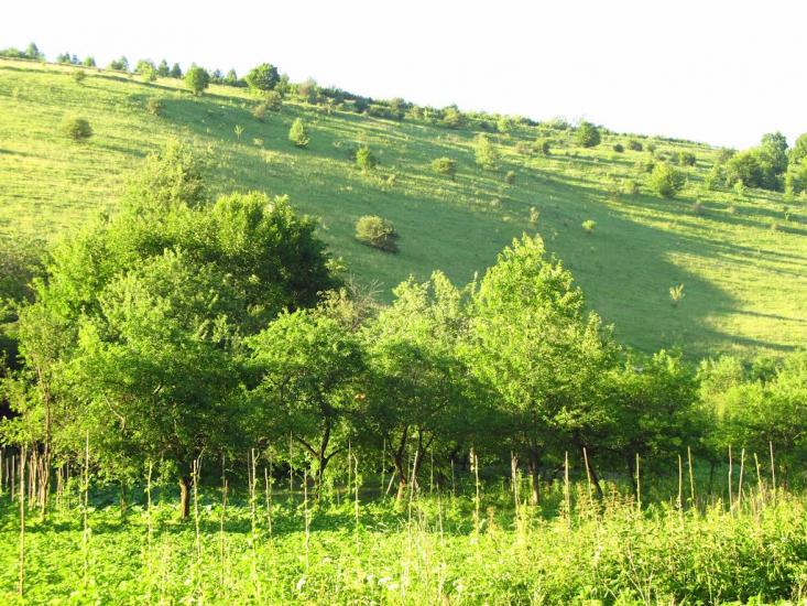 Маркова з panoramio.com - Маркова