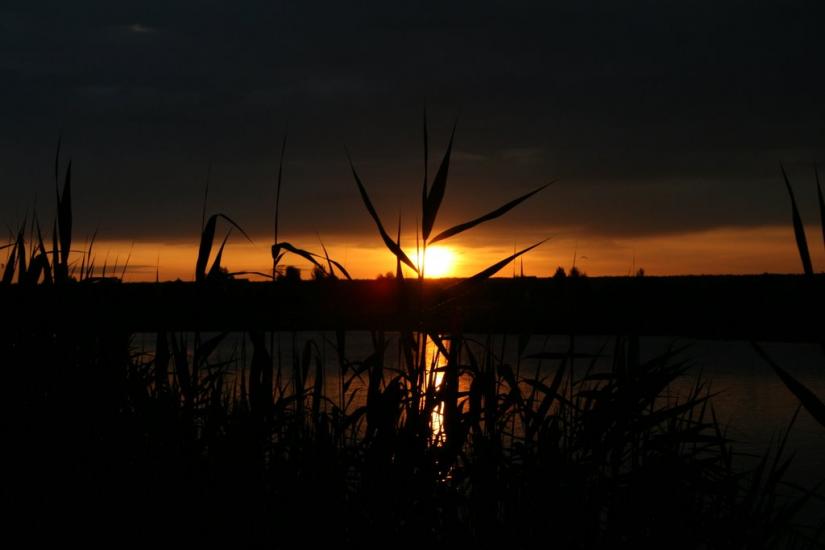 Проців з panoramio.com - Процев