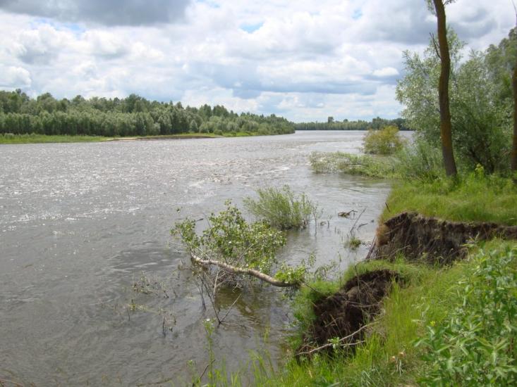 Сувид з panoramio.com - Сувид